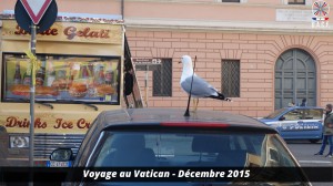 Voyage au vatican 332